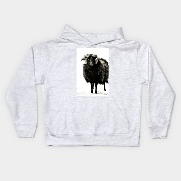 Black Ram Kids Hoodie by InspiraImage